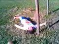 Jackass dallorto 11
