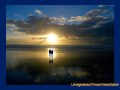 Foreign Affair, RANDY BUSH