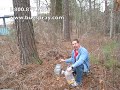 Baiting-trap-and-tra