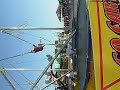 jumpingbean