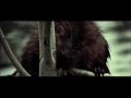 Strange Wilderness - Beaver Strange Wilderness - Beaver