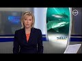 Sharks Extinct in our Lifetime?