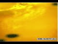 Biomimicking Materials - electrocromism 2