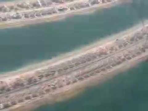 Flight Over The Palm