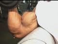 Bodybuilder video preview - MostMuscular.Com ULTRA Plus - January 2011