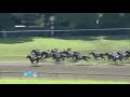 2013年 2歳新馬 / ジャッカスバーク サラ・バーク
