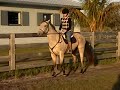 Shadow Video