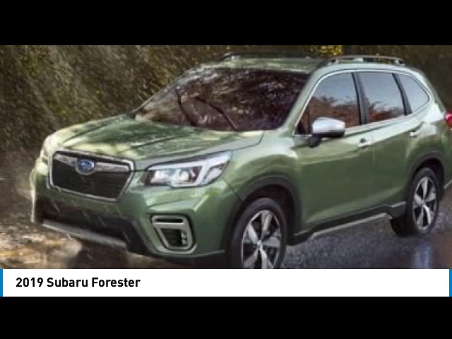 2019 Subaru Forester Sport | PANO SUNROOF | HEATED SEATS in Cars & Trucks in Strathcona County