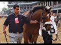 pour barbaro