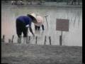 videos de King Thailand 02 Sufficiency