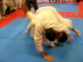 campeonato interno de jiu jitsu ninenine anthony