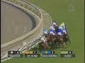 2003 Breeders' Cup Turf