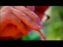 Charities Benefit From Artist\ Charities Benefit From Artist\