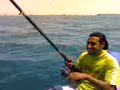 Sameh(226)