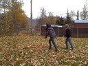 Fall Fall