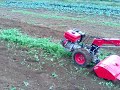 Click here to watch this video MICRO KAWASHIMA CANTEIRO 7