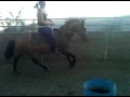 VID 00072 20091104 1615