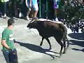 Vaquillas en Jaraiz de la Vera