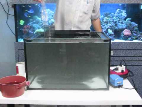 how to dissolve hgcl2