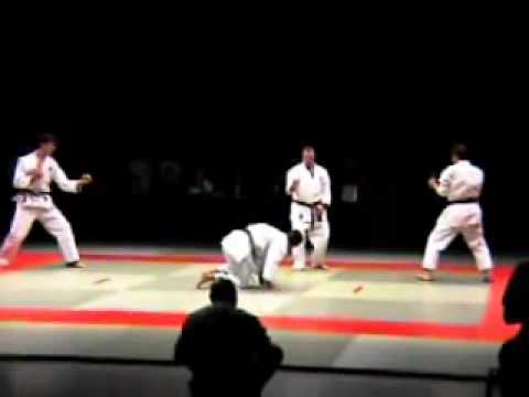 karate demo