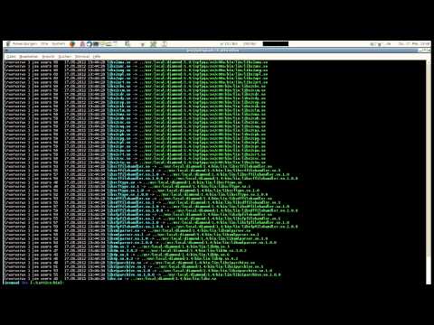 how to export display in linux
