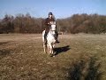 apache et moi
