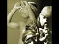 2pac & Buckshot - Brotherz at arms