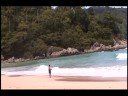 Jungle Hell Diary #3