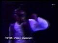 Peter Gabriel - Digging in the Dirt (Live) Argentina 1993