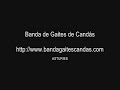Banda Gaites Candás (7) Gira 2008 Bretaña Francesa
