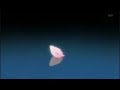 Bleach: Ending 21 