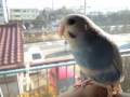 videos de 090108_1343~0001.m4v