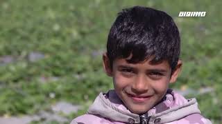 مراسلون مساواة : موسم الفراولة في بيت لاهيا ينعش جيب المواطن الغزي