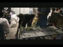 videos de Science Experiment Gone Wrong