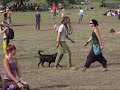 OZORA festival 2007