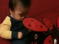 I uploaded a YouTube video -- Ladybug cheers baby http://bit.ly/K6KjQ