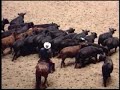 2001 NCHA Futurity Non-Pro Finals 2001 NCHA Futurity Non-Pro Finals