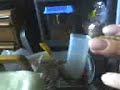 EgyptianEmeraldCentipede_good_fingers.3gp