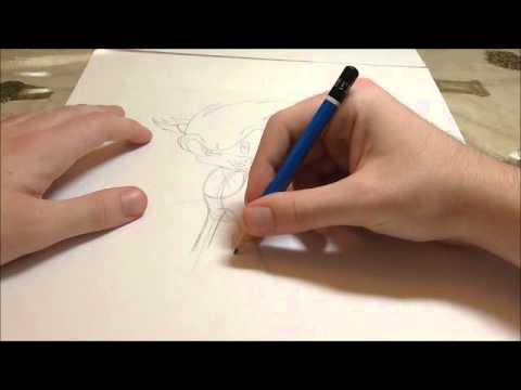 how to draw sonic step by step