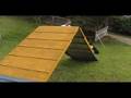 PROGRAMA PET & CIA - ADESTRAMENTO AGILITY