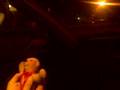 3abbo-bear romance 2