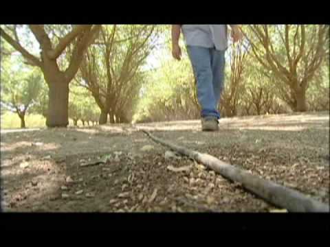 how to harvest water from air