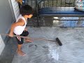miggy carpet cleaning miggy carpet cleaning