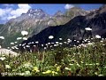 Grup Yorum-Seher yeli kiz Grup Yorum-Seher yeli kiz
