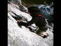 videos de CAF ANGOUMOIS Sylvia