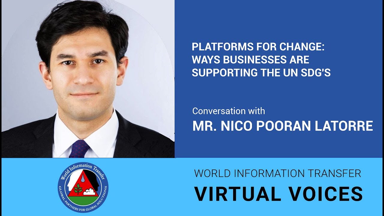 Platforms for Change: Ways Businesses are Supporting the UN SDG's
