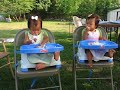 eating our first cake