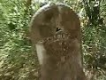 A Creepy Island Graveyard