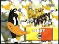 Bugs and daffy show (cartoon network) Bugs and daffy show (cartoon network)