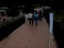 \"Play An�logo\" Intervenci�n en la Virgilio Barco